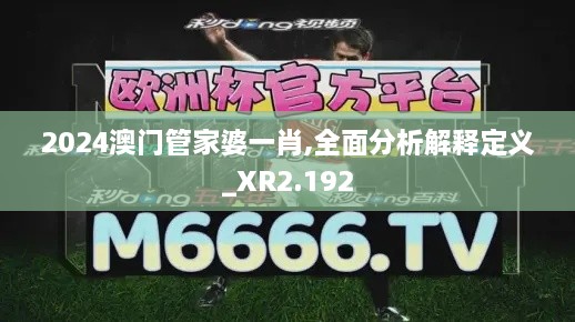 2024澳门管家婆一肖,全面分析解释定义_XR2.192