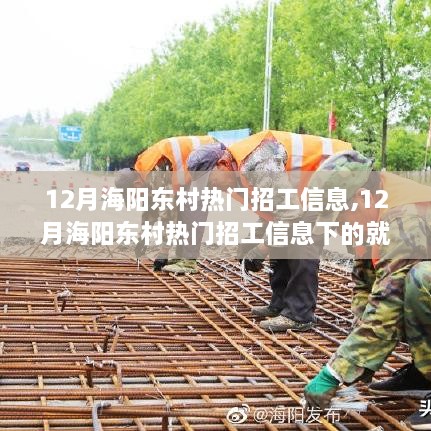 深度解析，海阳东村十二月热门招工信息与个人就业选择