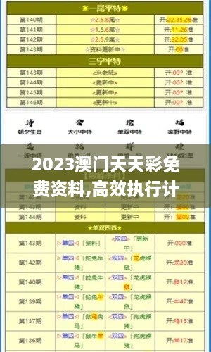 2023澳门天天彩免费资料,高效执行计划设计_尊贵款8.400