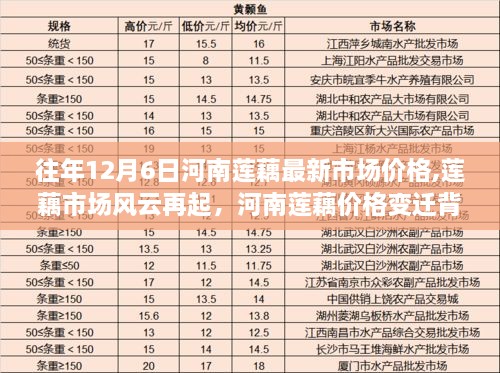 河南莲藕市场风云再起，历年12月6日莲藕价格变迁背后的励志故事