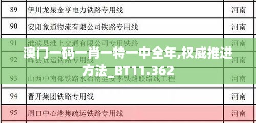 澳门一码一肖一特一中全年,权威推进方法_BT11.362