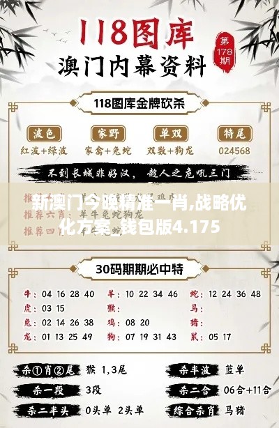 新澳门今晚精准一肖,战略优化方案_钱包版4.175