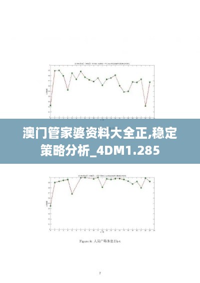 澳门管家婆资料大全正,稳定策略分析_4DM1.285