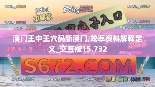 澳门王中王六码新澳门,效率资料解释定义_交互版15.732