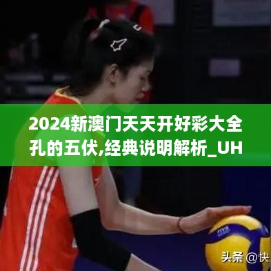 2024新澳门天天开好彩大全孔的五伏,经典说明解析_UHD2.653