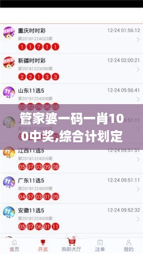 管家婆一码一肖100中奖,综合计划定义评估_4K版8.193