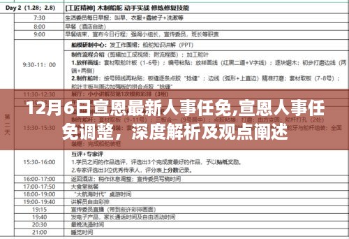 宣恩人事任免调整深度解析与观点阐述，最新人事任免动态（12月6日）