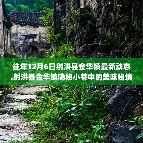 射洪县金华镇隐秘小巷美食探秘，最新动态与探秘之旅（12月6日）