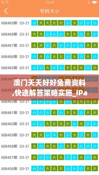 澳门天天好好兔费资料,快速解答策略实施_iPad7.335