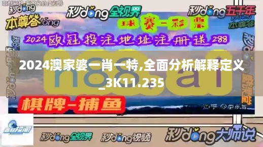 2024澳家婆一肖一特,全面分析解释定义_3K11.235