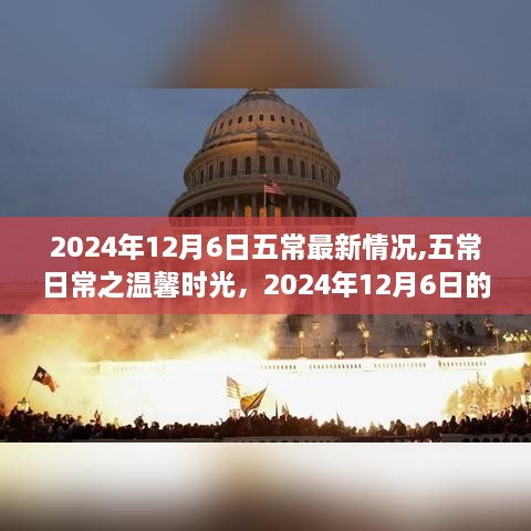 2024年12月6日五常最新情况,五常日常之温馨时光，2024年12月6日的奇遇