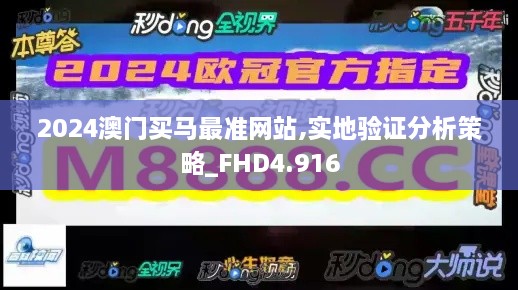 2024澳门买马最准网站,实地验证分析策略_FHD4.916