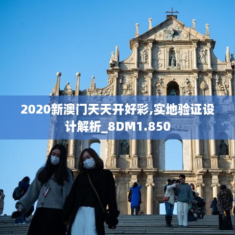 2020新澳门天天开好彩,实地验证设计解析_8DM1.850