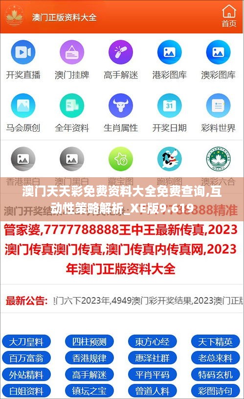 澳门天天彩免费资料大全免费查询,互动性策略解析_XE版9.619