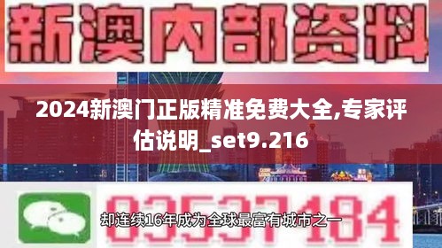 2024新澳门正版精准免费大全,专家评估说明_set9.216