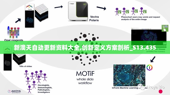新澳天自动更新资料大全,创新定义方案剖析_S13.435