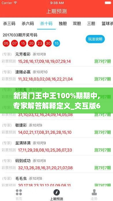 新澳门王中王100%期期中,专家解答解释定义_交互版6.779