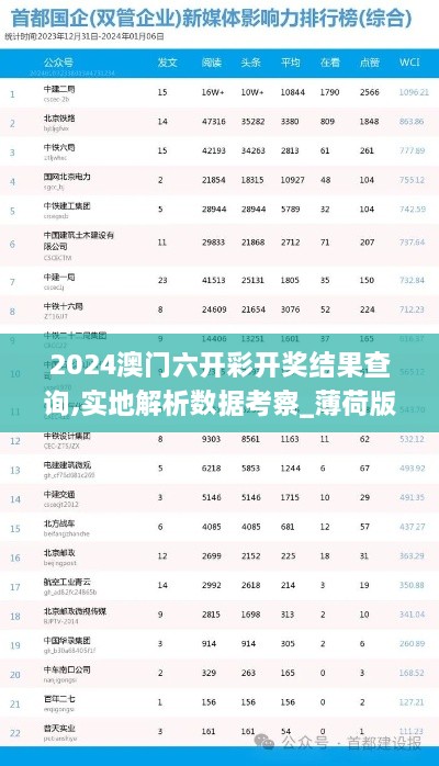 2024澳门六开彩开奖结果查询,实地解析数据考察_薄荷版8.389