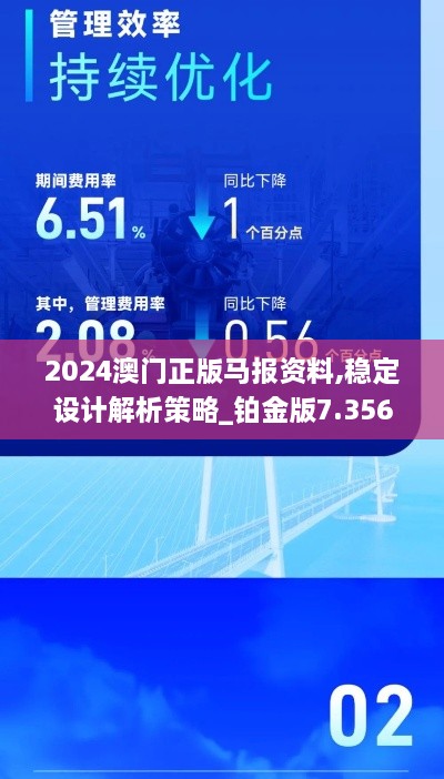 2024澳门正版马报资料,稳定设计解析策略_铂金版7.356