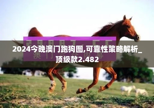 2024今晚澳门跑狗图,可靠性策略解析_顶级款2.482