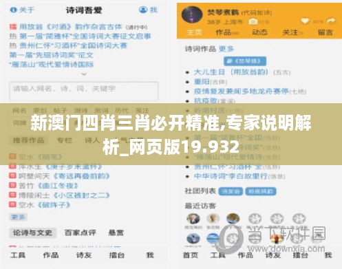 新澳门四肖三肖必开精准,专家说明解析_网页版19.932