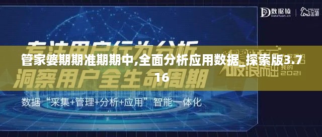 2024年12月8日 第37页