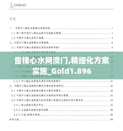 雷锋心水网澳门,精细化方案实施_Gold1.896