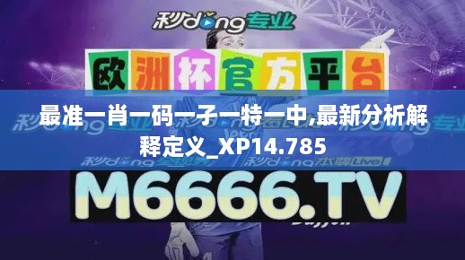 最准一肖一码一孑一特一中,最新分析解释定义_XP14.785