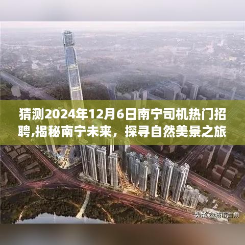 2024年南宁司机热门招聘展望，探寻未来之旅与心灵驾驶的自然美景