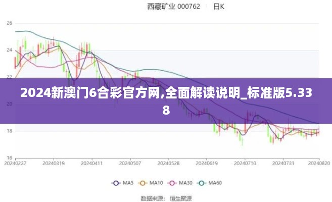 2024新澳门6合彩官方网,全面解读说明_标准版5.338