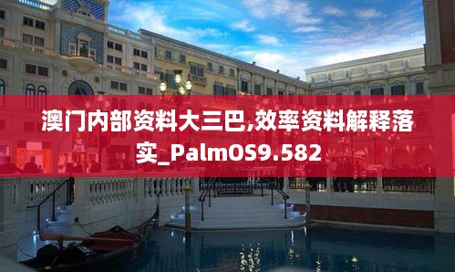 澳门内部资料大三巴,效率资料解释落实_PalmOS9.582