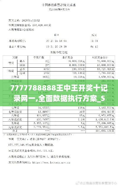 7777788888王中王开奖十记录网一,全面数据执行方案_Superior9.790