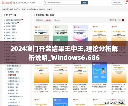 2024澳门开奖结果王中王,理论分析解析说明_Windows6.686