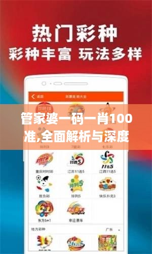 管家婆一码一肖100准,全面解析与深度探讨_DP4.992