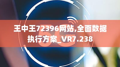 王中王72396网站,全面数据执行方案_VR7.238