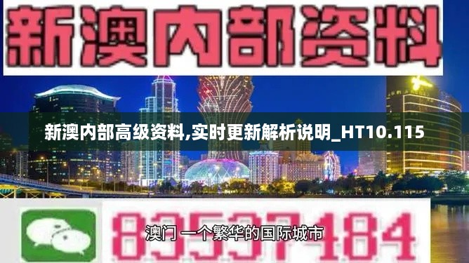 新澳内部高级资料,实时更新解析说明_HT10.115