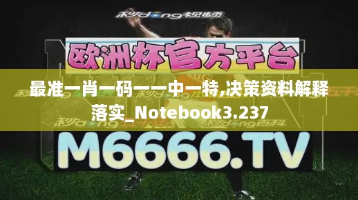 最准一肖一码一一中一特,决策资料解释落实_Notebook3.237