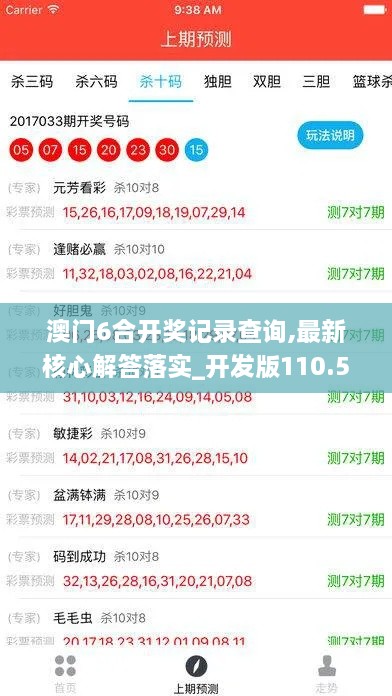 澳门6合开奖记录查询,最新核心解答落实_开发版110.503