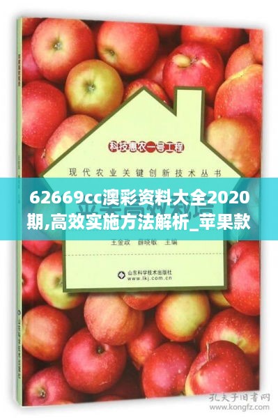 62669cc澳彩资料大全2020期,高效实施方法解析_苹果款18.569