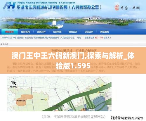 澳门王中王六码新澳门,探索与解析_体验版1.595