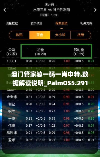 澳门管家婆一码一肖中特,数据解读说明_PalmOS5.291