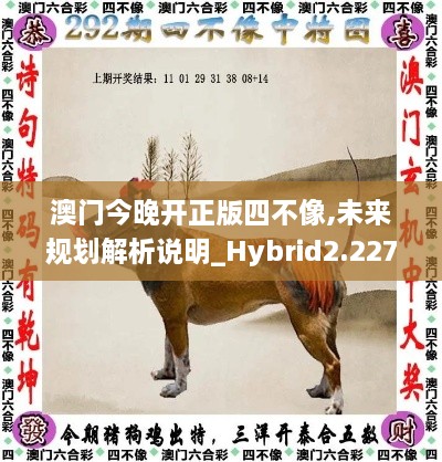 澳门今晚开正版四不像,未来规划解析说明_Hybrid2.227