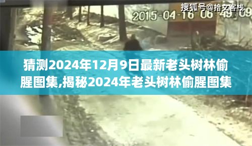 揭秘2024年老头树林偷腥图集背后的故事与现象探究