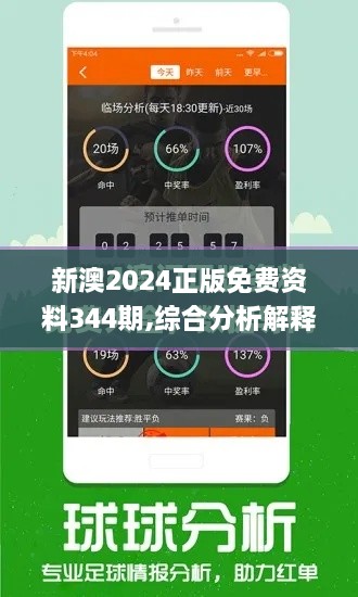 新澳2024正版免费资料344期,综合分析解释定义_战略版4.513