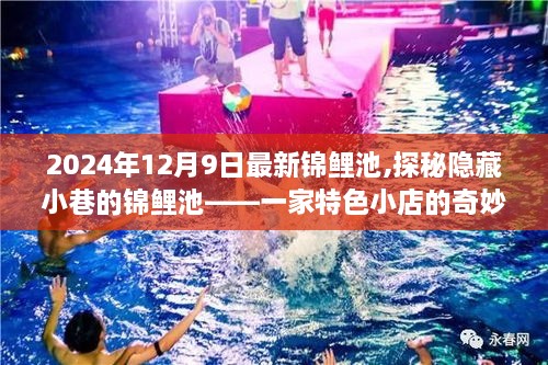 2024年12月9日最新锦鲤池,探秘隐藏小巷的锦鲤池——一家特色小店的奇妙之旅