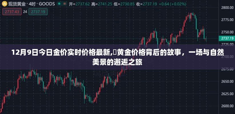 黄金价格背后的故事，与自然美景的邂逅与最新实时金价解析