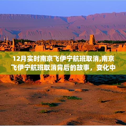 南京飞伊宁航班取消背后的故事，学习之旅中的变化与自信萌芽