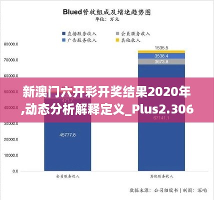 新澳门六开彩开奖结果2020年,动态分析解释定义_Plus2.306