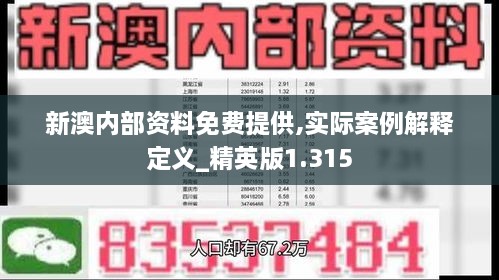 新澳内部资料免费提供,实际案例解释定义_精英版1.315