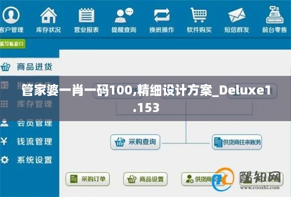 管家婆一肖一码100,精细设计方案_Deluxe1.153